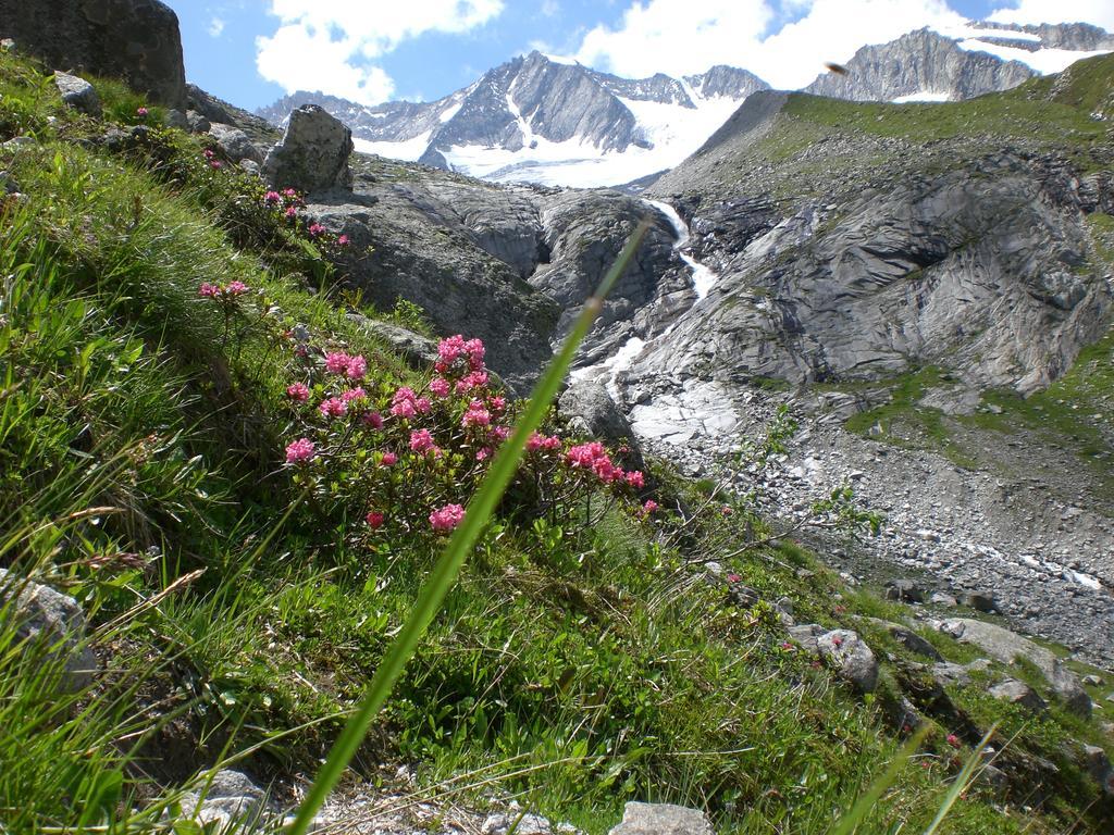 Hotel Garni Erler Mayrhofen Zewnętrze zdjęcie